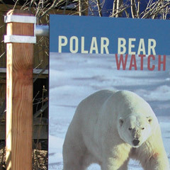 Maryland Zoo in Baltimore